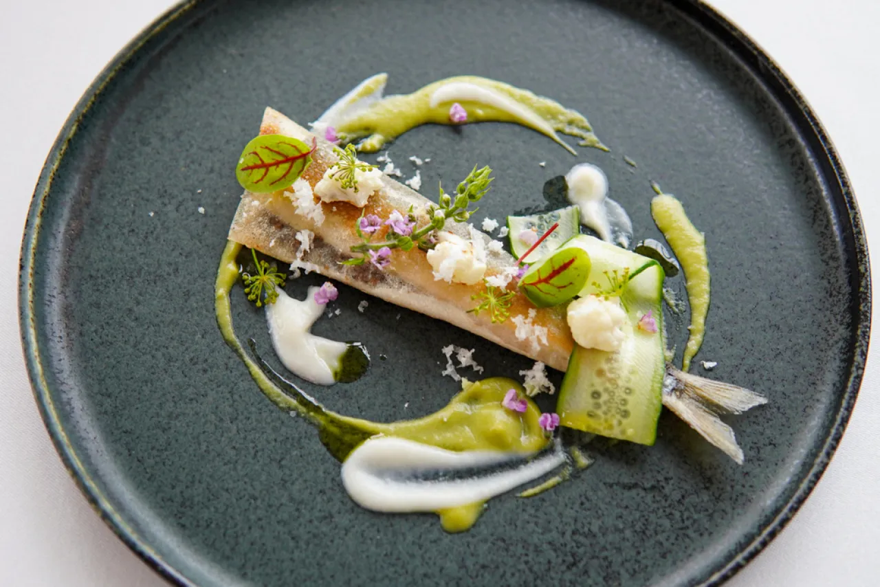 平日限定ランチコースプラン