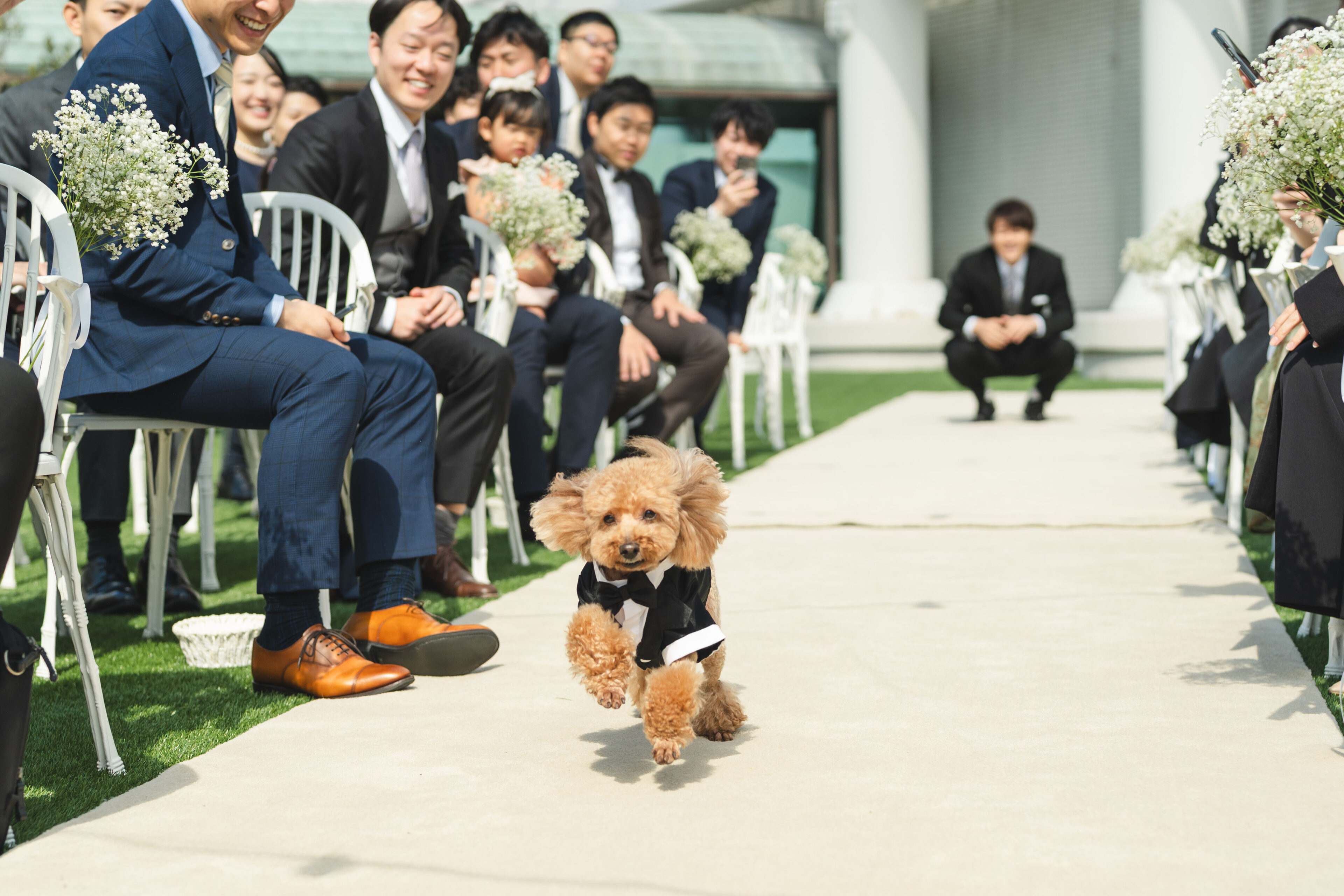 OCEAN PLACEのペット婚 神戸港テラス